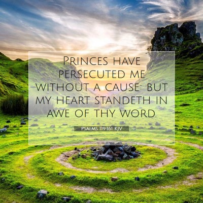 Picture 07 - Psalms 119:161 KJV - Princes have persecuted me without a cause: but - Bible Verse Picture