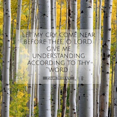 Picture 07 - Psalms 119:169 KJV - Let my cry come near before thee, O LORD: give me - Bible Verse Picture
