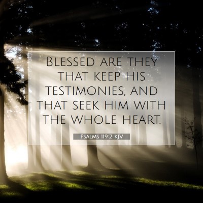 Picture 07 - Psalms 119:2 KJV - Blessed are they that keep his testimonies, and - Bible Verse Picture