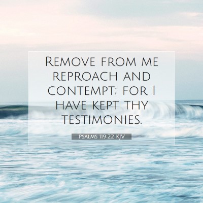 Picture 07 - Psalms 119:22 KJV - Remove from me reproach and contempt; for I have - Bible Verse Picture