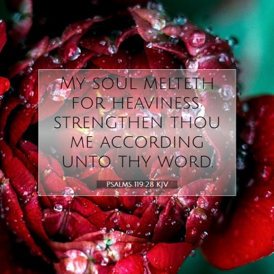 Picture 07 - Psalms 119:28 KJV - My soul melteth for heaviness: strengthen thou me - Bible Verse Picture