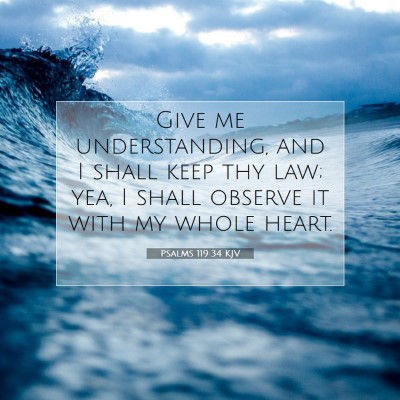 Picture 07 - Psalms 119:34 KJV - Give me understanding, and I shall keep thy law; - Bible Verse Picture
