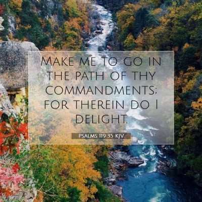 Picture 07 - Psalms 119:35 KJV - Make me to go in the path of thy commandments; - Bible Verse Picture