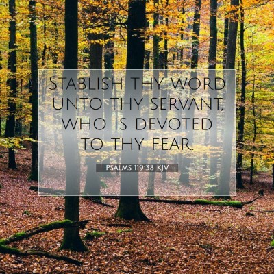 Picture 07 - Psalms 119:38 KJV - Stablish thy word unto thy servant, who is - Bible Verse Picture