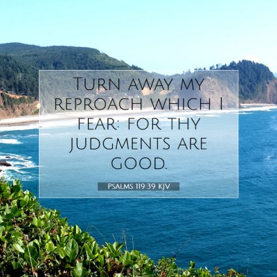 Picture 07 - Psalms 119:39 KJV - Turn away my reproach which I fear: for thy - Bible Verse Picture