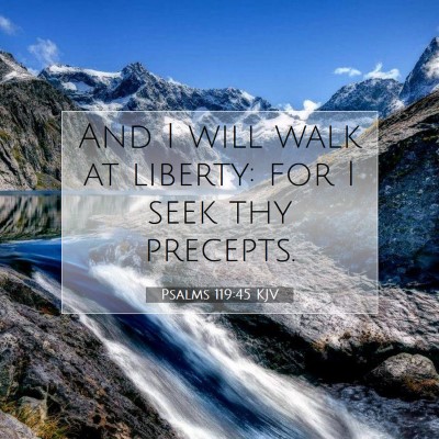 Picture 07 - Psalms 119:45 KJV - And I will walk at liberty: for I seek thy - Bible Verse Picture