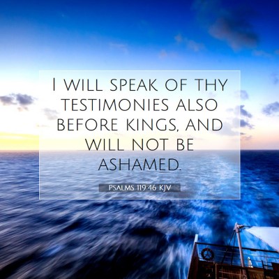 Picture 07 - Psalms 119:46 KJV - I will speak of thy testimonies also before - Bible Verse Picture