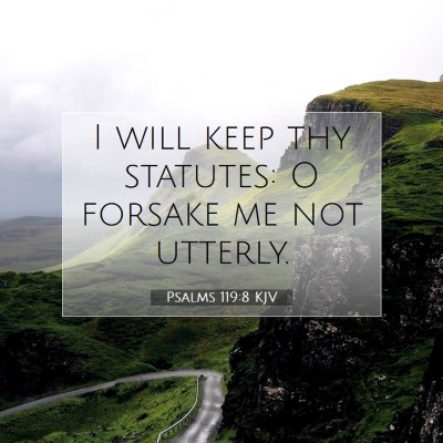 Picture 07 - Psalms 119:8 KJV - I will keep thy statutes: O forsake me not - Bible Verse Picture