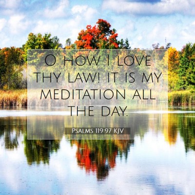 Picture 07 - Psalms 119:97 KJV - O how I love thy law! it is my meditation all the - Bible Verse Picture