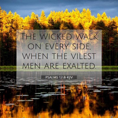 Picture 07 - Psalms 12:8 KJV - The wicked walk on every side, when the vilest - Bible Verse Picture