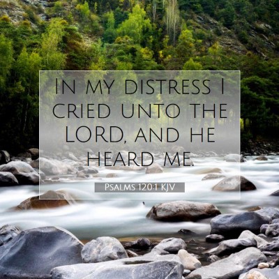 Picture 07 - Psalms 120:1 KJV - In my distress I cried unto the LORD, and he - Bible Verse Picture