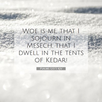 Picture 07 - Psalms 120:5 KJV - Woe is me, that I sojourn in Mesech, that I dwell - Bible Verse Picture
