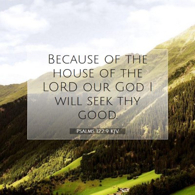 Picture 07 - Psalms 122:9 KJV - Because of the house of the LORD our God I will - Bible Verse Picture