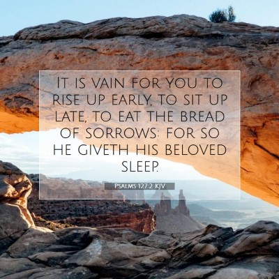 Picture 07 - Psalms 127:2 KJV - It is vain for you to rise up early, to sit up - Bible Verse Picture