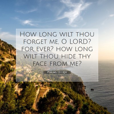 Picture 07 - Psalms 13:1 KJV - How long wilt thou forget me, O LORD? for ever? - Bible Verse Picture