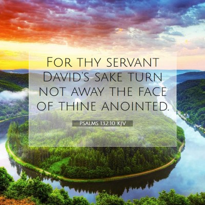 Picture 07 - Psalms 132:10 KJV - For thy servant David's sake turn not away the - Bible Verse Picture