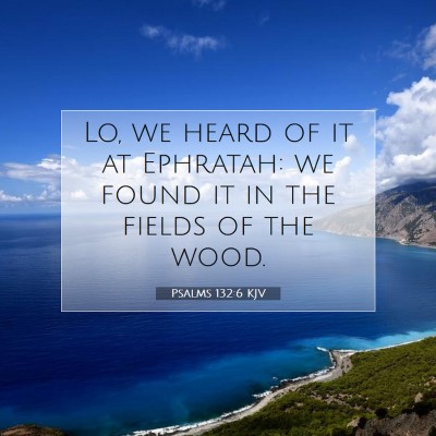 Picture 07 - Psalms 132:6 KJV - Lo, we heard of it at Ephratah: we found it in - Bible Verse Picture
