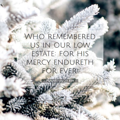 Picture 07 - Psalms 136:23 KJV - Who remembered us in our low estate: for his - Bible Verse Picture