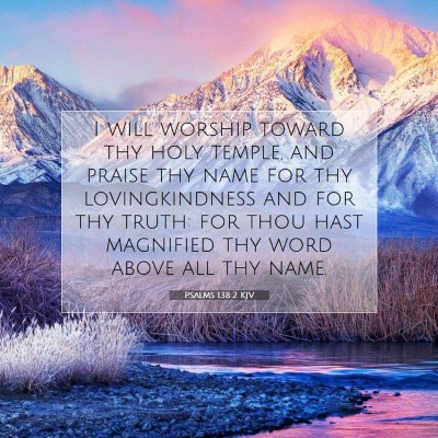 Picture 07 - Psalms 138:2 KJV - I will worship toward thy holy temple, and praise - Bible Verse Picture