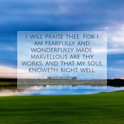 Picture 07 - Psalms 139:14 KJV - I will praise thee; for I am fearfully and - Bible Verse Picture