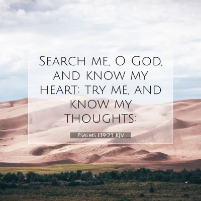 Picture 07 - Psalms 139:23 KJV - Search me, O God, and know my heart: try me, and - Bible Verse Picture