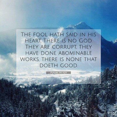 Picture 07 - Psalms 14:1 KJV - The fool hath said in his heart, There is no God. - Bible Verse Picture