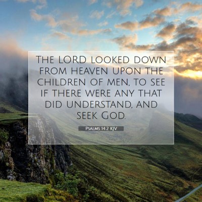 Picture 07 - Psalms 14:2 KJV - The LORD looked down from heaven upon the - Bible Verse Picture