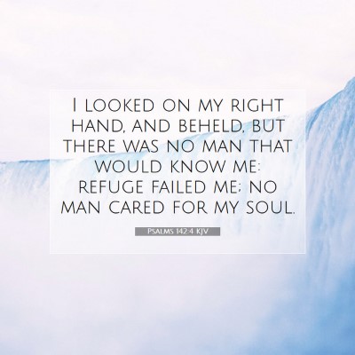 Picture 07 - Psalms 142:4 KJV - I looked on my right hand, and beheld, but there - Bible Verse Picture
