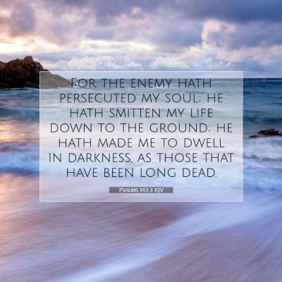 Picture 07 - Psalms 143:3 KJV - For the enemy hath persecuted my soul; he hath - Bible Verse Picture