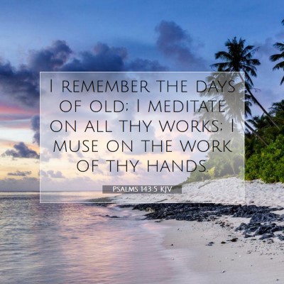 Picture 07 - Psalms 143:5 KJV - I remember the days of old; I meditate on all thy - Bible Verse Picture