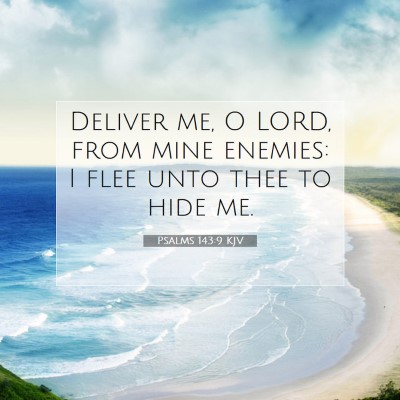 Picture 07 - Psalms 143:9 KJV - Deliver me, O LORD, from mine enemies: I flee - Bible Verse Picture