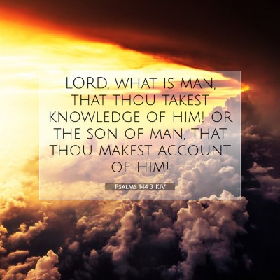 Picture 07 - Psalms 144:3 KJV - LORD, what is man, that thou takest knowledge of - Bible Verse Picture