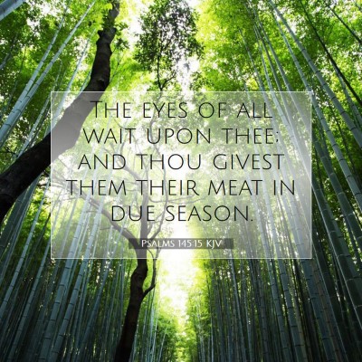 Picture 07 - Psalms 145:15 KJV - The eyes of all wait upon thee; and thou givest - Bible Verse Picture