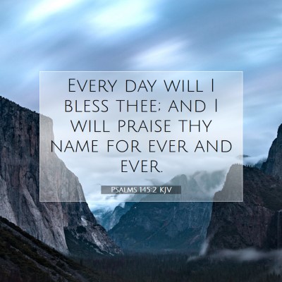 Picture 07 - Psalms 145:2 KJV - Every day will I bless thee; and I will praise - Bible Verse Picture
