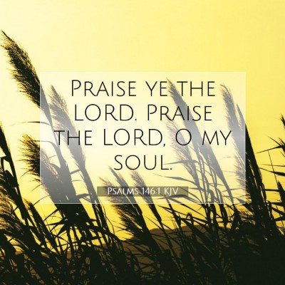 Picture 07 - Psalms 146:1 KJV - Praise ye the LORD. Praise the LORD, O my - Bible Verse Picture
