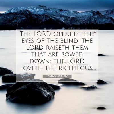 Picture 07 - Psalms 146:8 KJV - The LORD openeth the eyes of the blind: the LORD - Bible Verse Picture