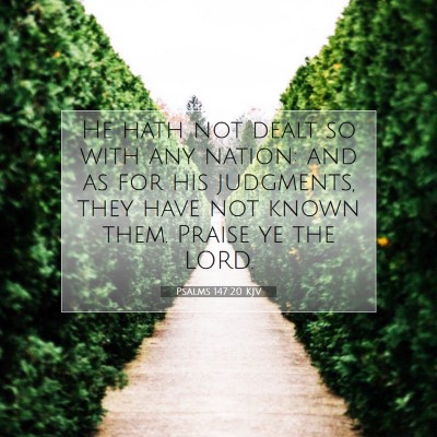 Picture 07 - Psalms 147:20 KJV - He hath not dealt so with any nation: and as for - Bible Verse Picture