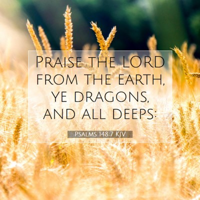 Picture 07 - Psalms 148:7 KJV - Praise the LORD from the earth, ye dragons, and - Bible Verse Picture
