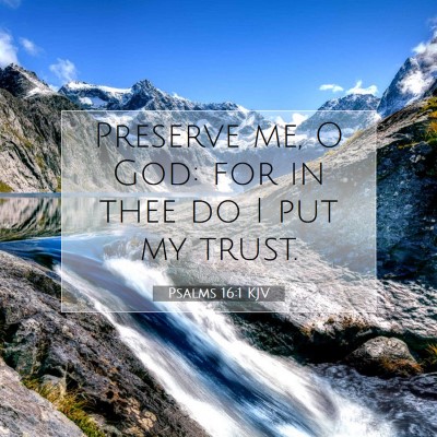 Picture 07 - Psalms 16:1 KJV - Preserve me, O God: for in thee do I put my - Bible Verse Picture