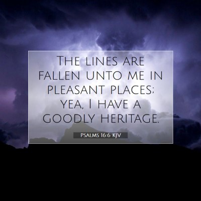 Picture 07 - Psalms 16:6 KJV - The lines are fallen unto me in pleasant places; - Bible Verse Picture