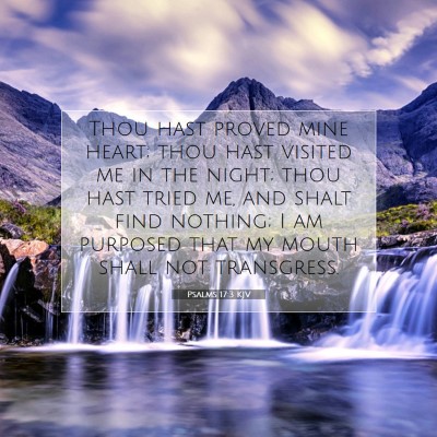 Picture 07 - Psalms 17:3 KJV - Thou hast proved mine heart; thou hast visited me - Bible Verse Picture