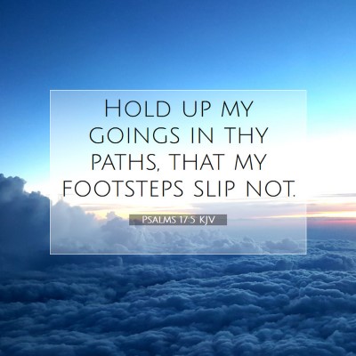 Picture 07 - Psalms 17:5 KJV - Hold up my goings in thy paths, that my footsteps - Bible Verse Picture
