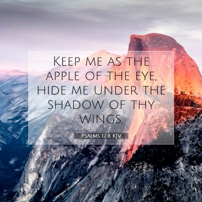 Picture 07 - Psalms 17:8 KJV - Keep me as the apple of the eye, hide me under - Bible Verse Picture