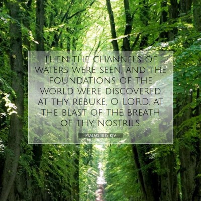 Picture 07 - Psalms 18:15 KJV - Then the channels of waters were seen, and the - Bible Verse Picture