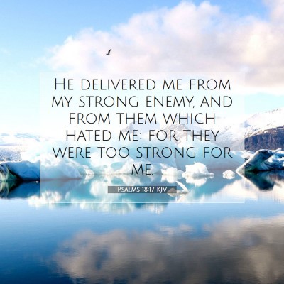 Picture 07 - Psalms 18:17 KJV - He delivered me from my strong enemy, and from - Bible Verse Picture