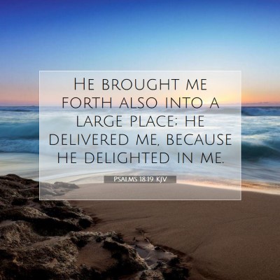Picture 07 - Psalms 18:19 KJV - He brought me forth also into a large place; he - Bible Verse Picture