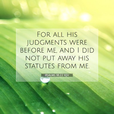 Picture 07 - Psalms 18:22 KJV - For all his judgments were before me, and I did - Bible Verse Picture