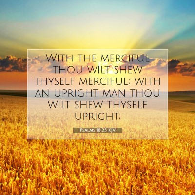 Picture 07 - Psalms 18:25 KJV - With the merciful thou wilt shew thyself - Bible Verse Picture