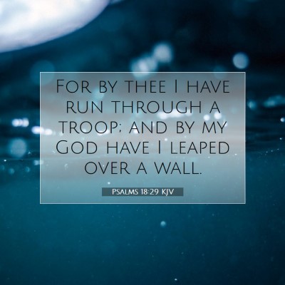 Picture 07 - Psalms 18:29 KJV - For by thee I have run through a troop; and by my - Bible Verse Picture