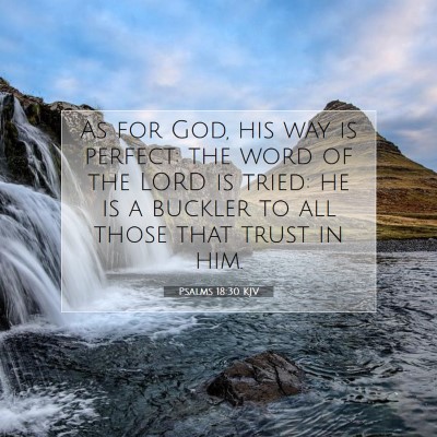 Picture 07 - Psalms 18:30 KJV - As for God, his way is perfect: the word of the - Bible Verse Picture